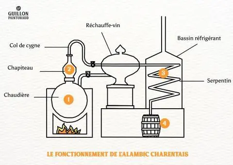 la-fabrication-du-cognac-les-diff-rentes-tapes