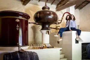 distillation guillon painturaud