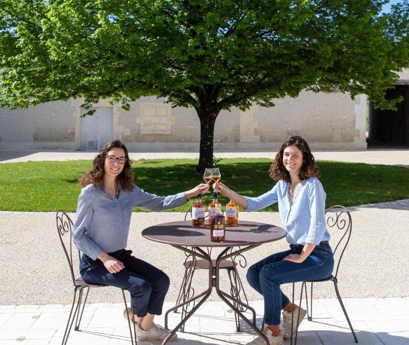 Rencontre avec le vigneron en Charente